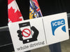 How much a distracted driving ticket costs in BC, Canada